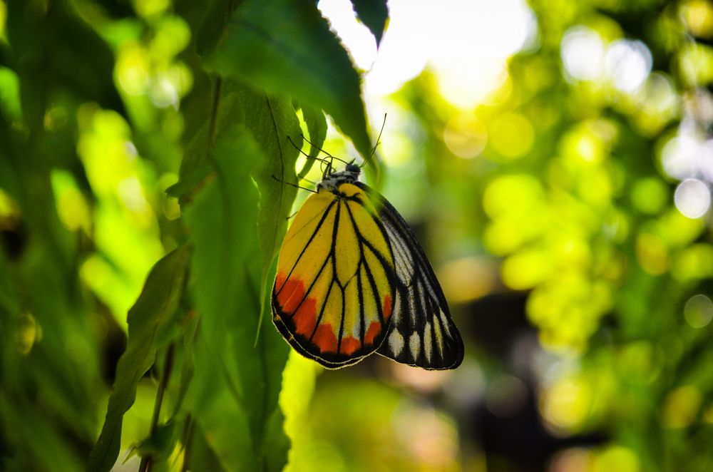 Photograph by Екатерина Ковалева