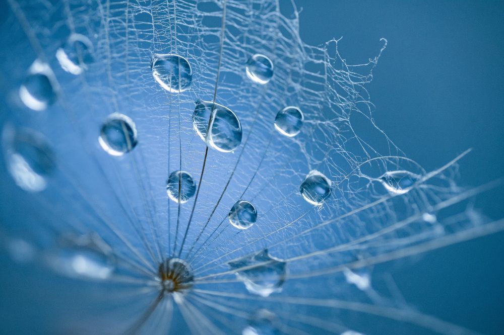 Photograph by Анна Бобкова