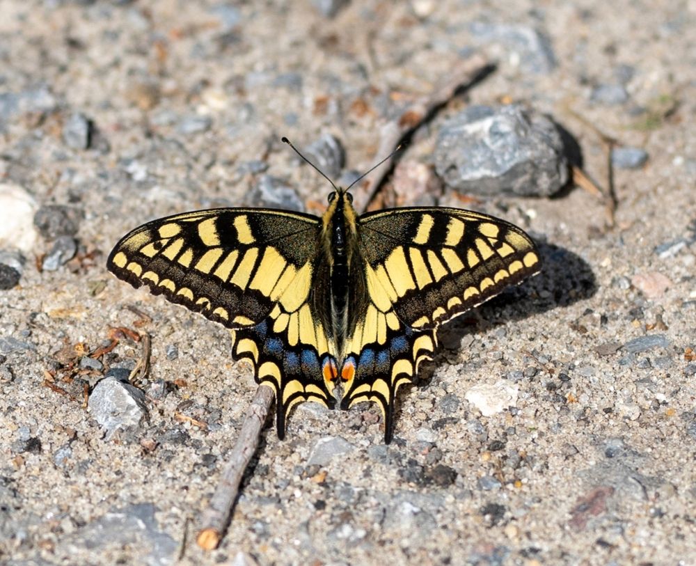 Фотография автора Дмитрий Кетов