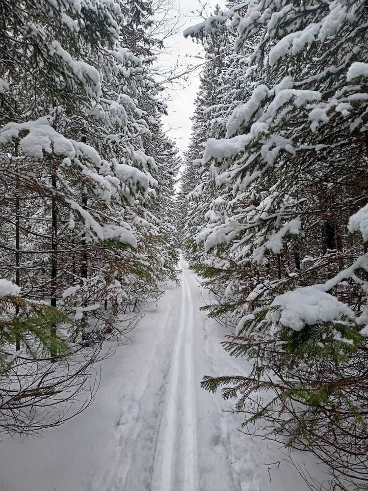 Photograph by Елена