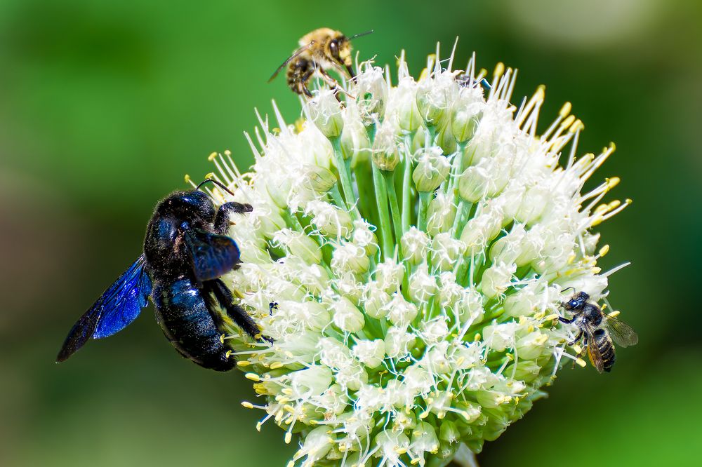 Photograph by Сергей