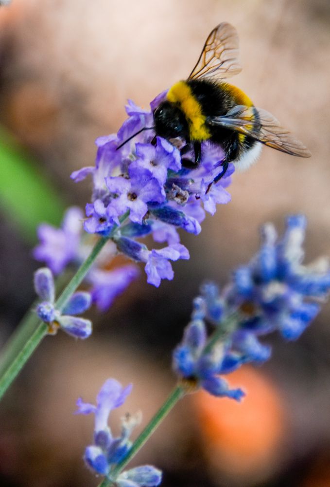 Photograph by Светлана Войта