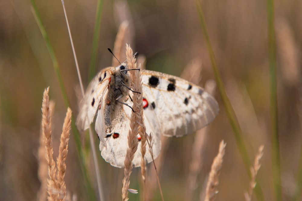 Photograph by Ирина Яук