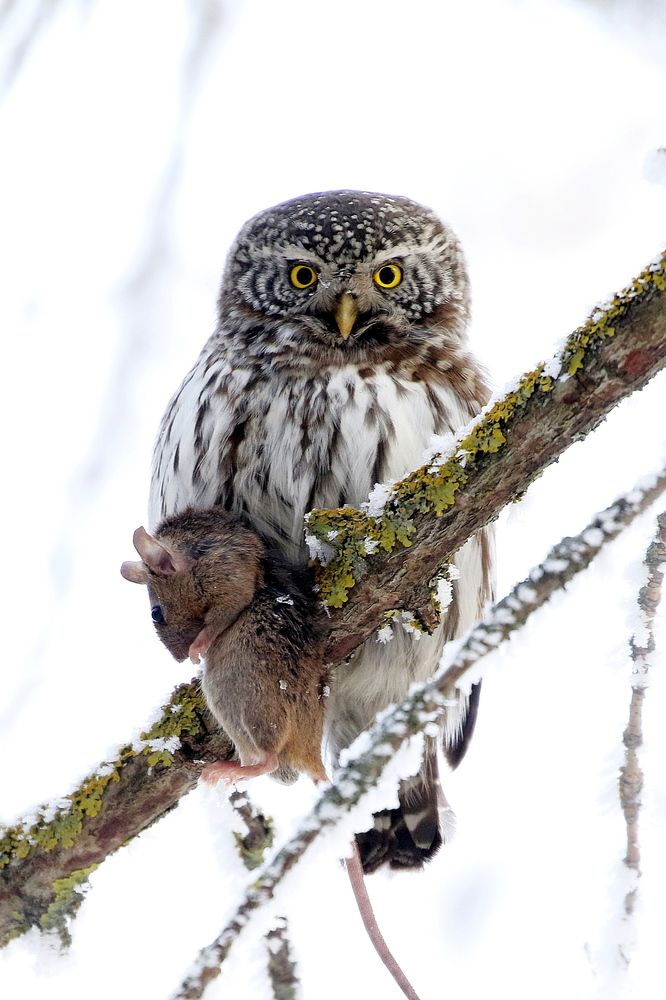 Photograph by Евгений Софронов