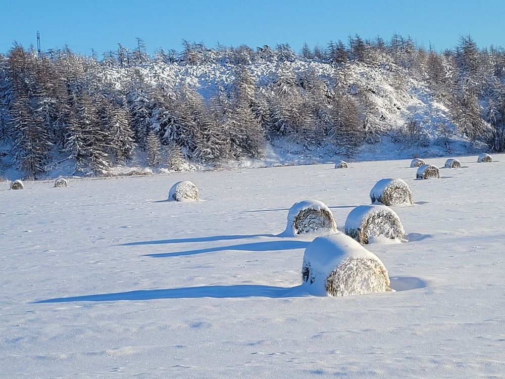 Фотография автора Казакова Людмила Ивановна