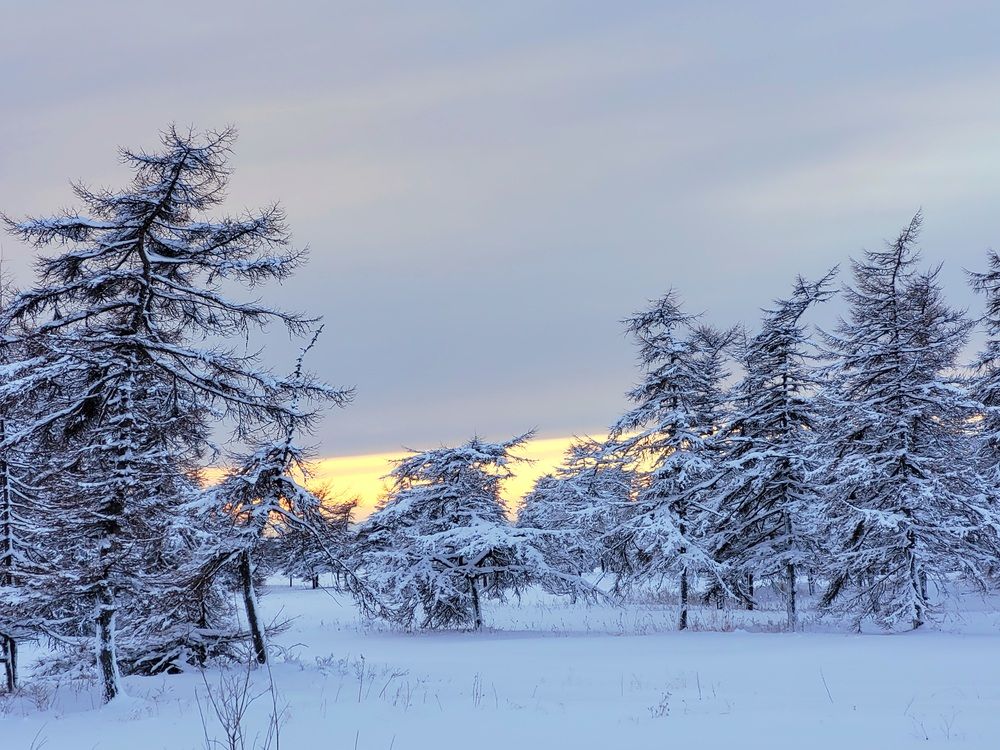 Фотография автора Казакова Людмила Ивановна