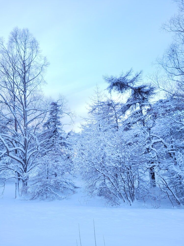 Фотография автора Казакова Людмила Ивановна