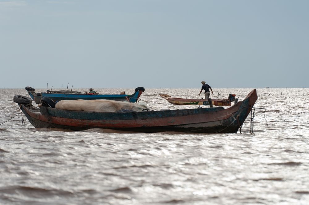 Фотография автора Светлана Зимина