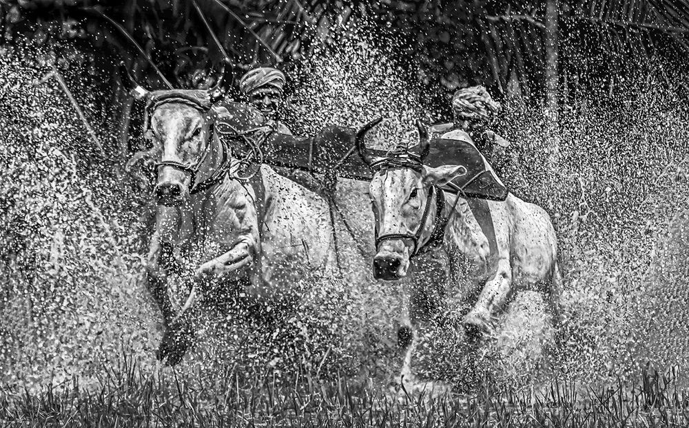 Photograph by Saumi Biswas