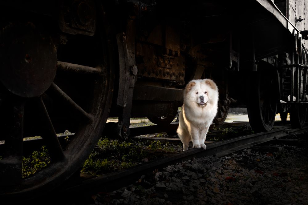 Photograph by Leticia Hernandez