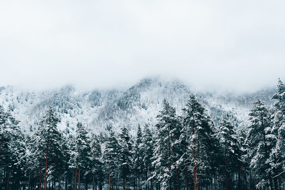 Photograph by Антон Украинских