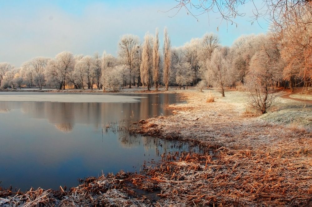Волшебное утро