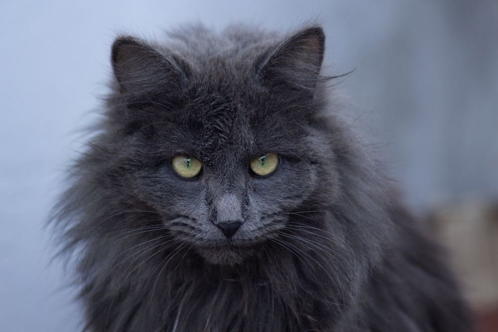 Photograph by Александр Канцур