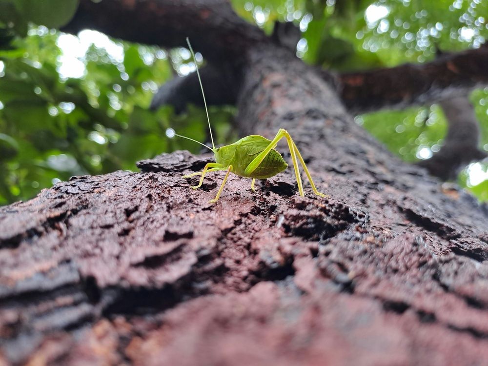 Photograph by Nitin Sidhpura