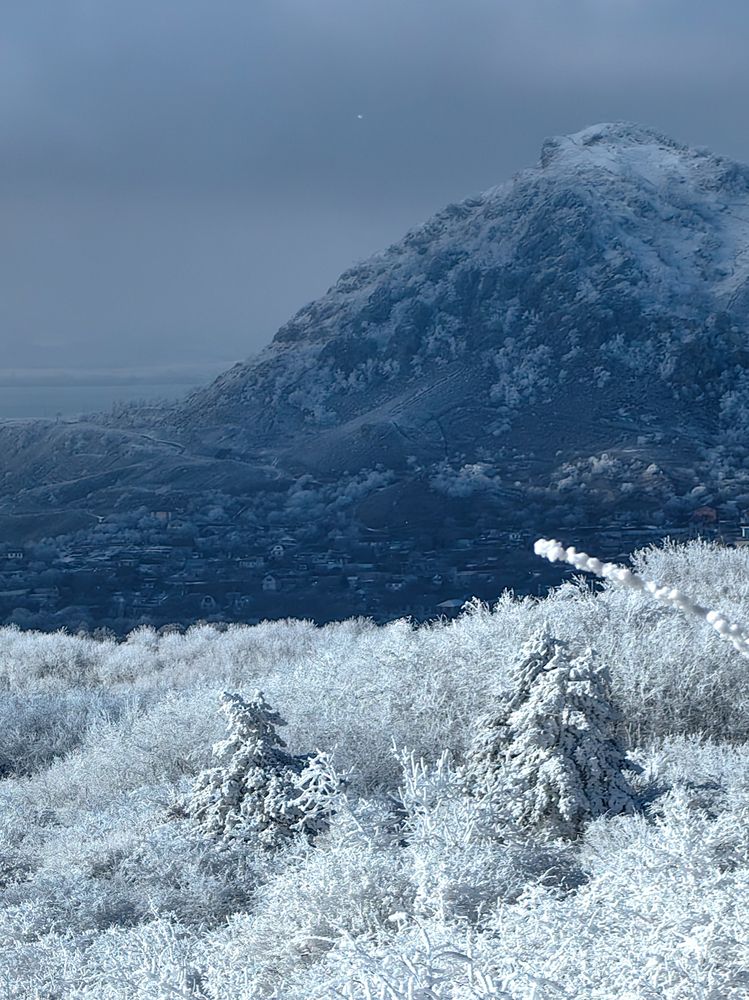 Photograph by Igor M.