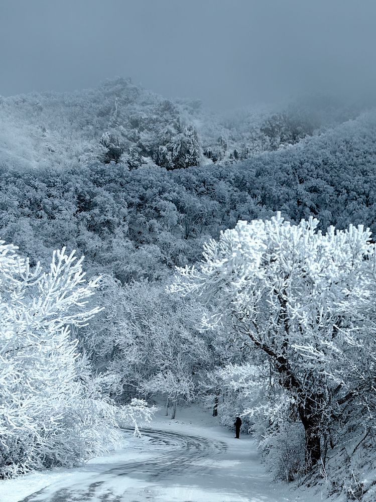 Photograph by Igor M.