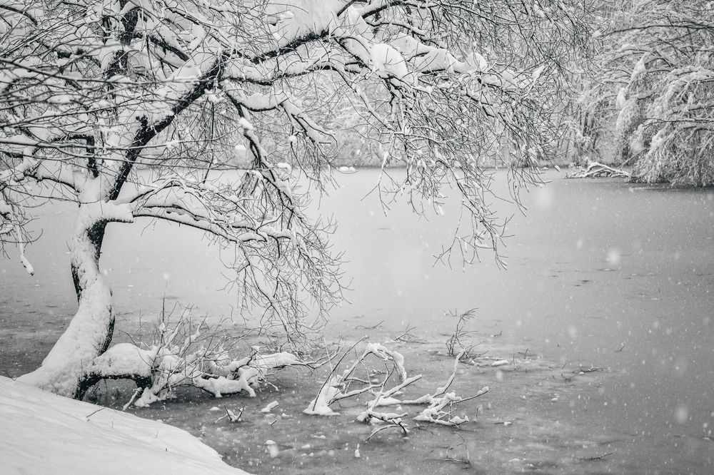 Photograph by HATSUMORI SACHIKO