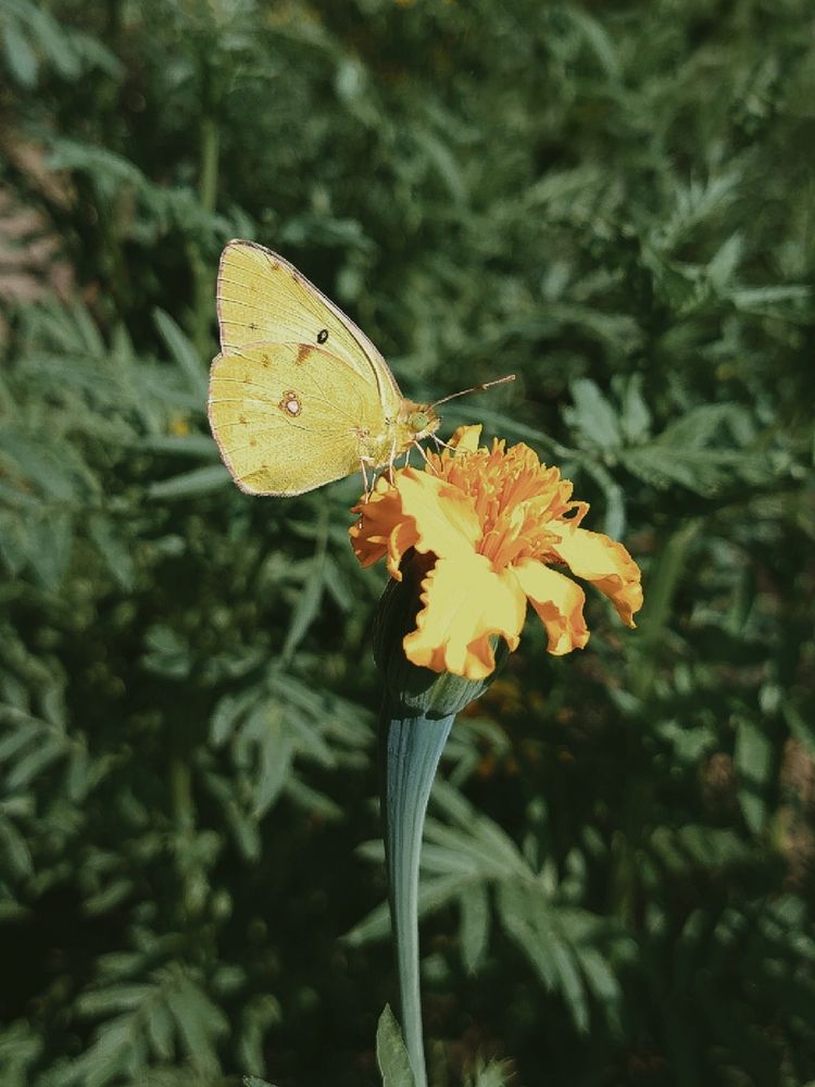 Фотография автора Анна Морозова