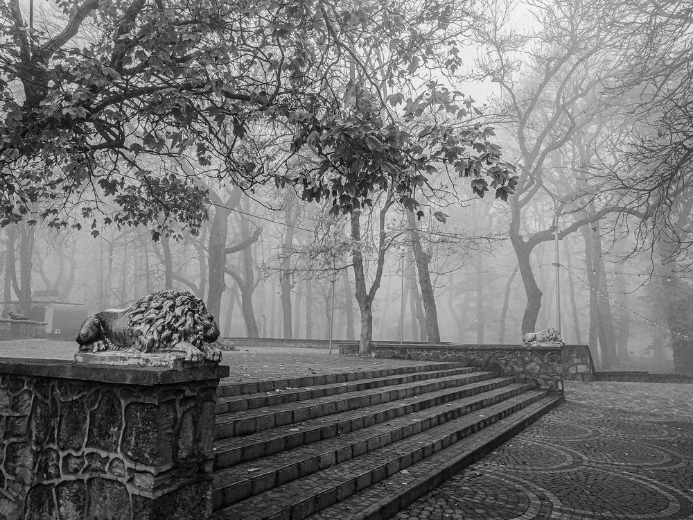 Photograph by Виталий Маслов