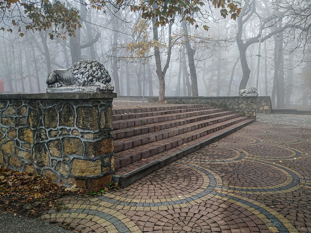 Photograph by Виталий Маслов