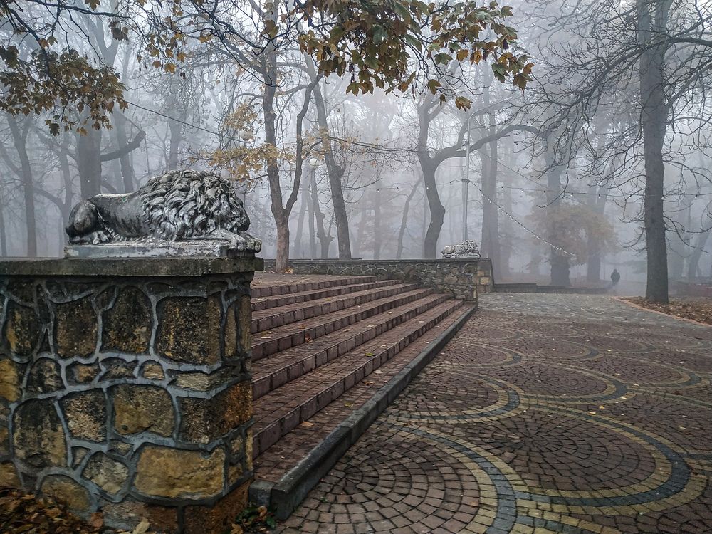 Photograph by Виталий Маслов