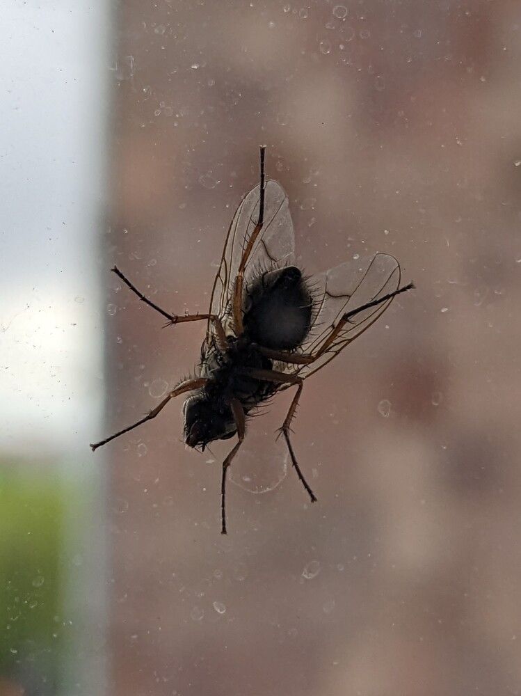 Photograph by Lilit Petrosyan