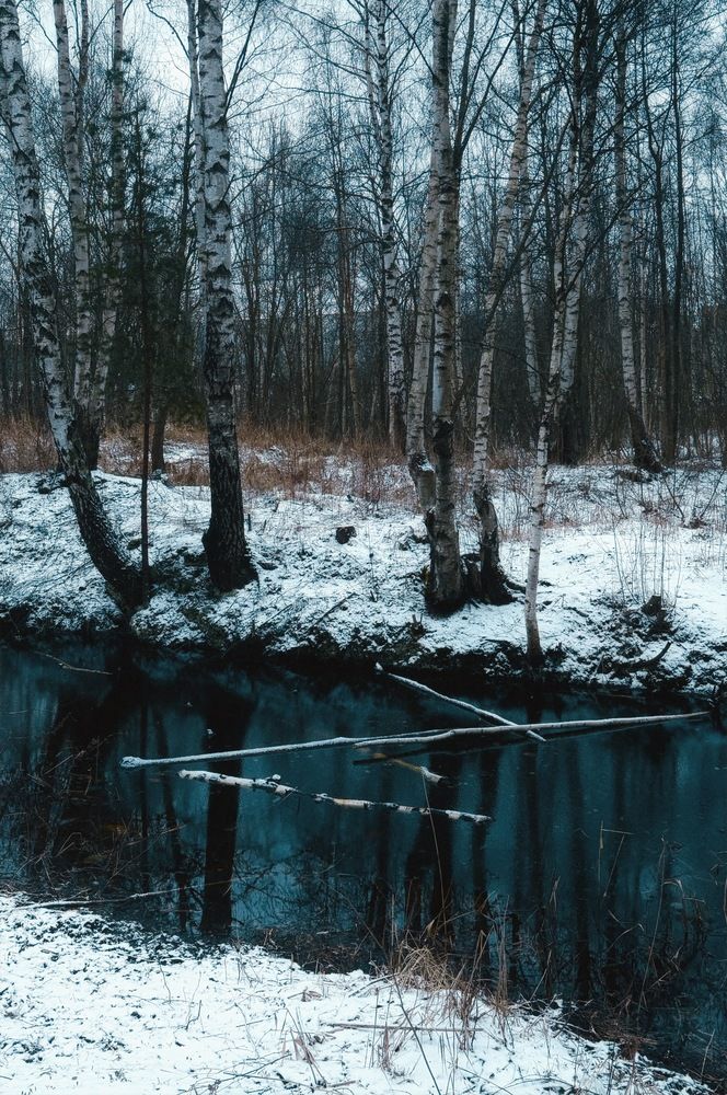 Photograph by Sergei Novikov