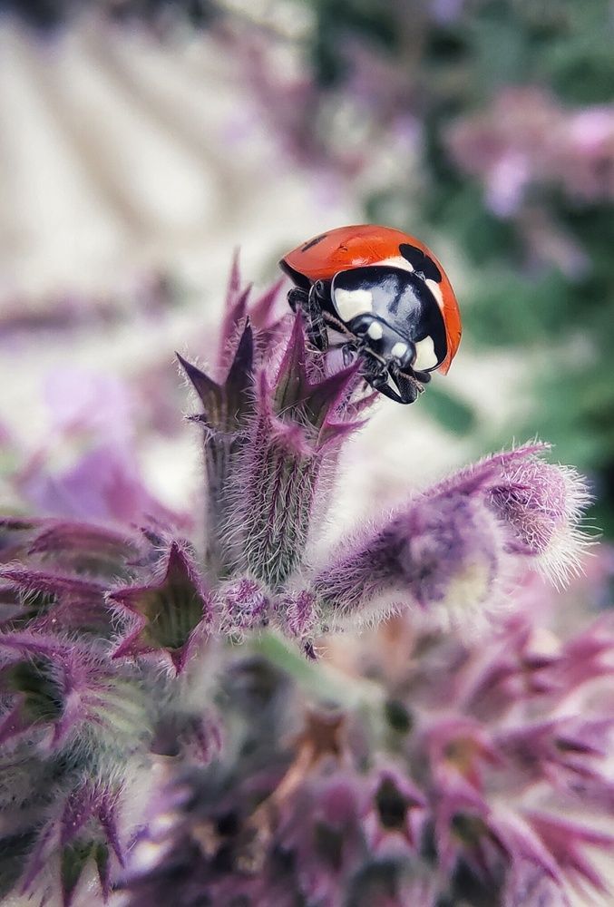 Photograph by Natalia Bolotenkova