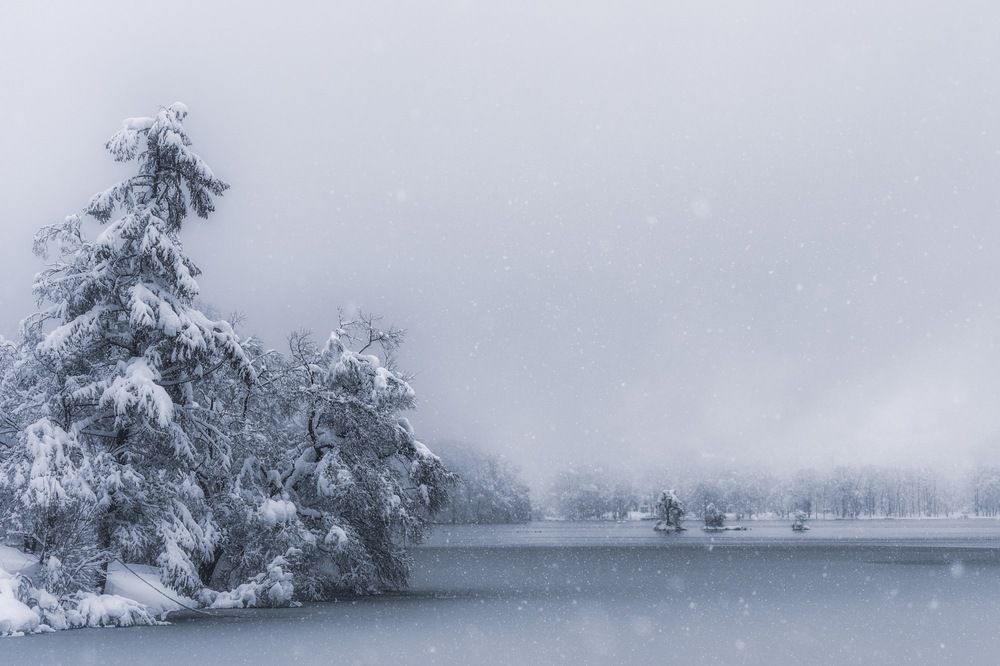 Photograph by HATSUMORI SACHIKO