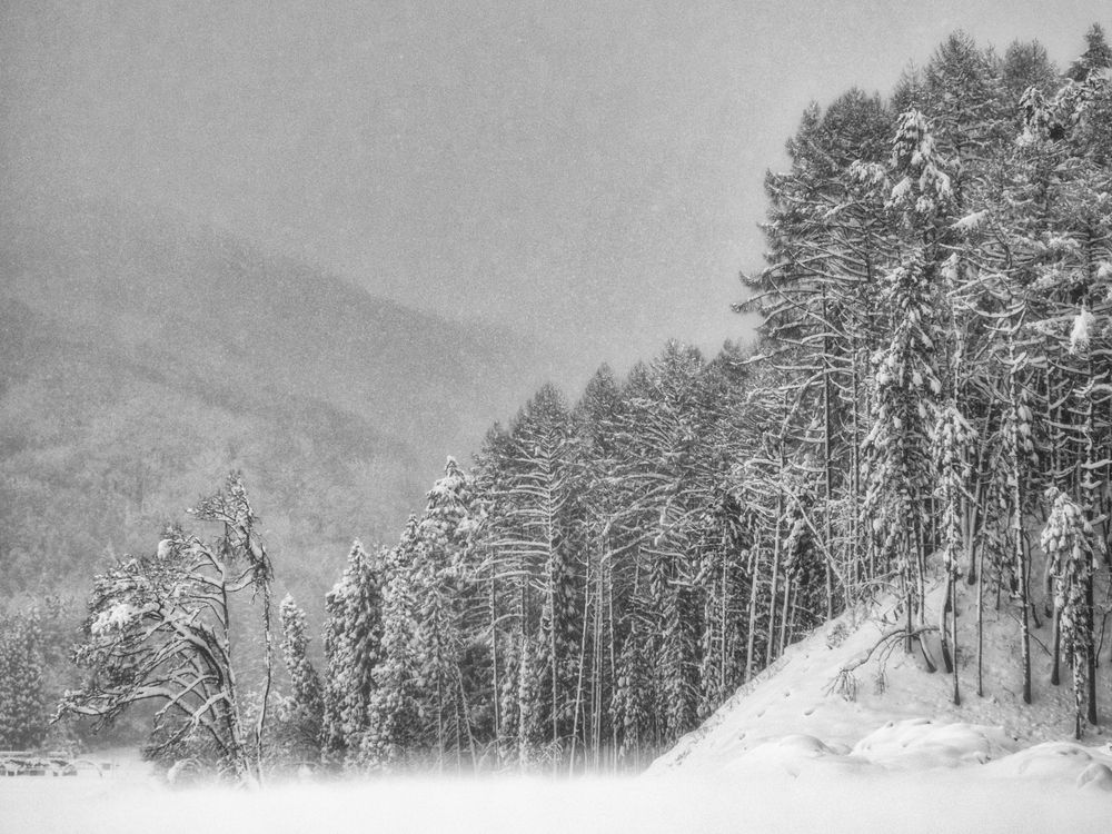 Photograph by HATSUMORI SACHIKO