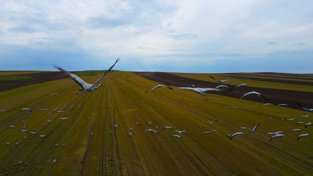 Фотография автора Иван Фомин