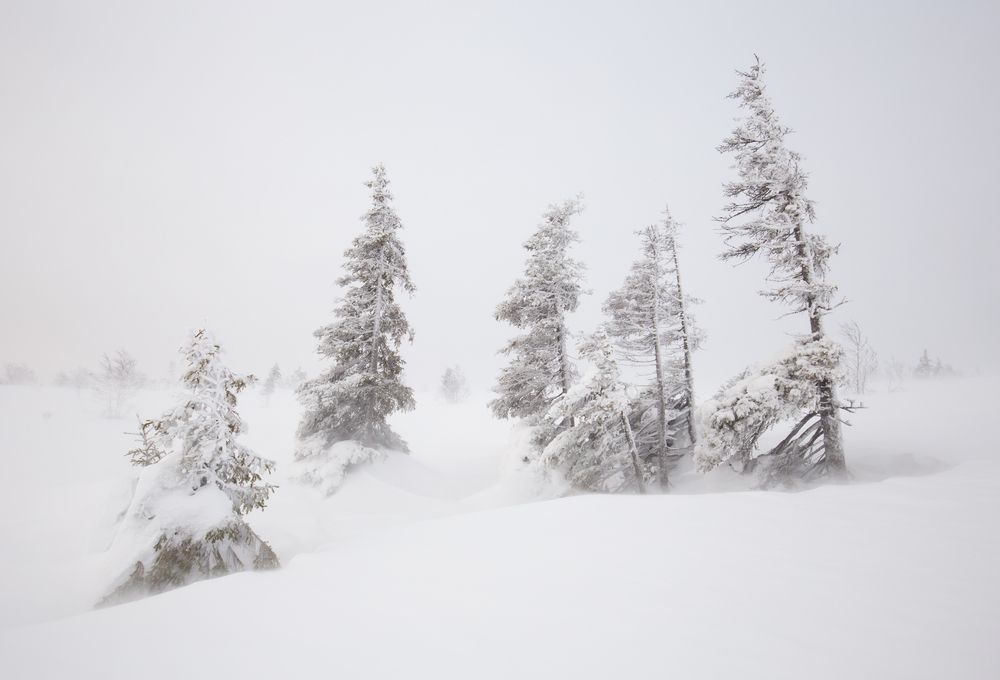 Photograph by Елена Хорохорина