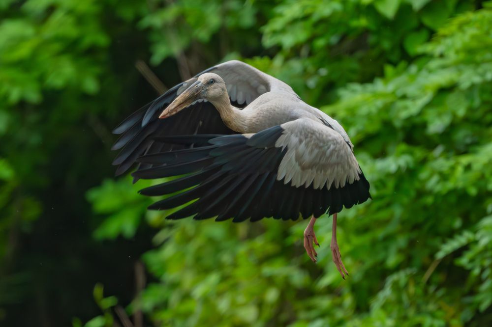 Photograph by Sameer Bhalekar