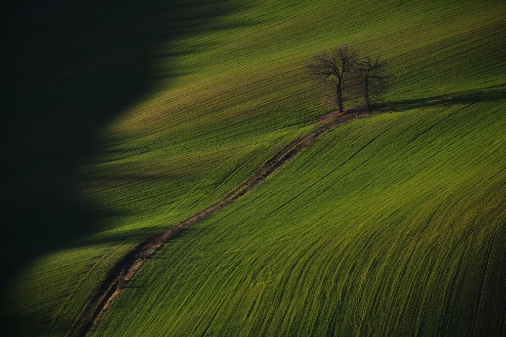 Photograph by Cristian Bertolini