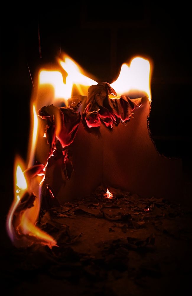 Photograph by Archisman Narayan Lahiri