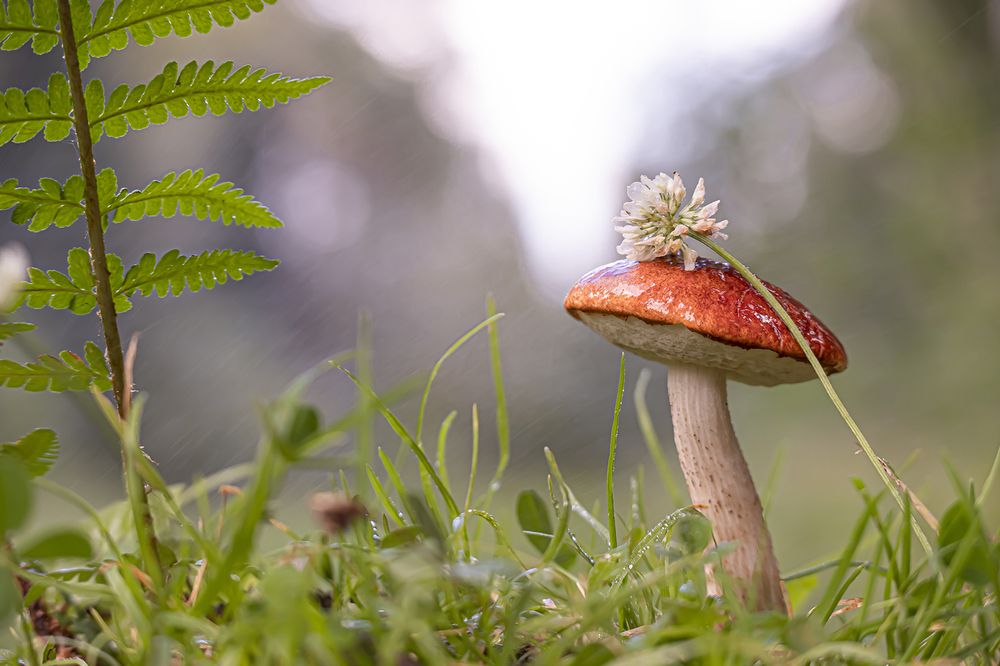 Photograph by Бурикова Екатерина