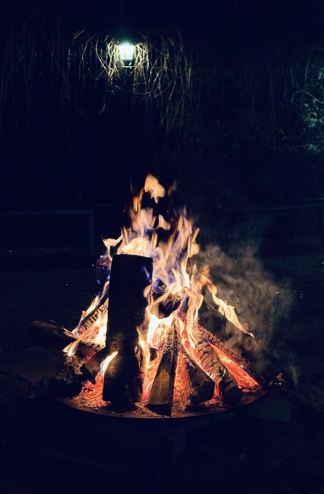 Photograph by Ксения Гулькова