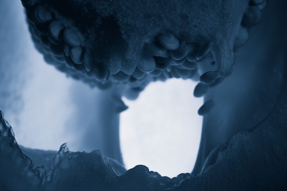 Photograph by Бржозовская Яна