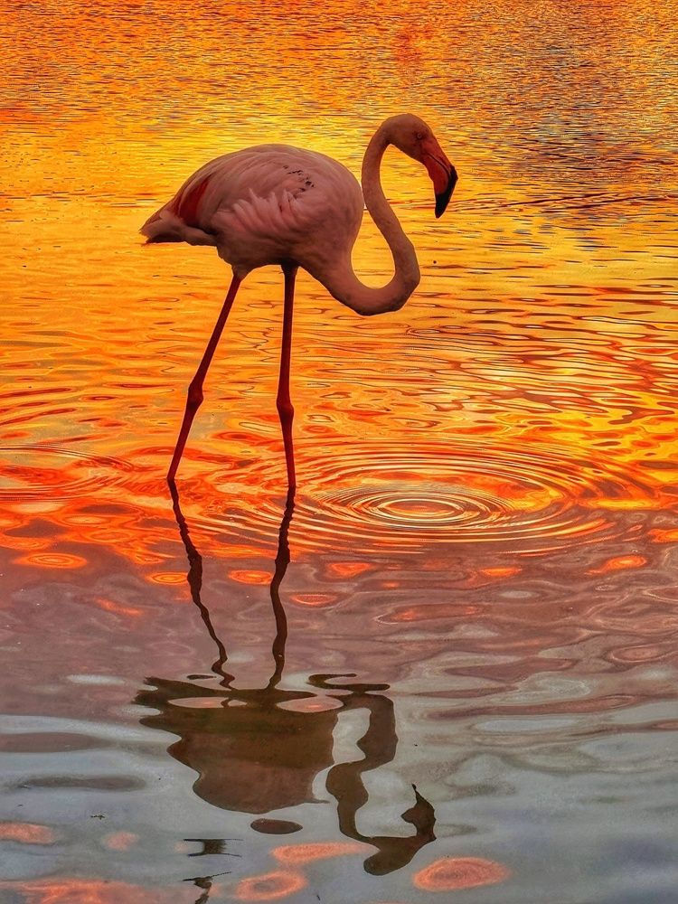 Photograph by Halina Lamaka