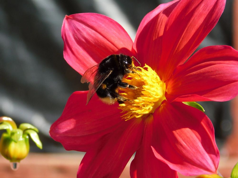 Photograph by Татьяна Колчанова