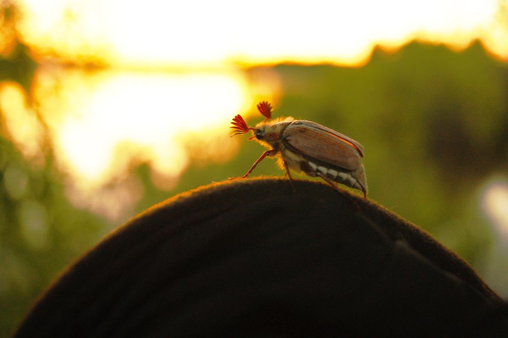 Photograph by Екатерина