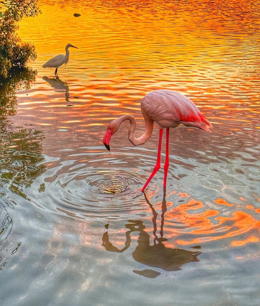 Photograph by Halina Lamaka