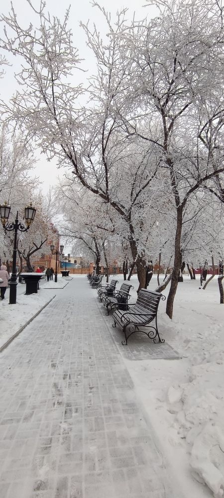 Морозное утро