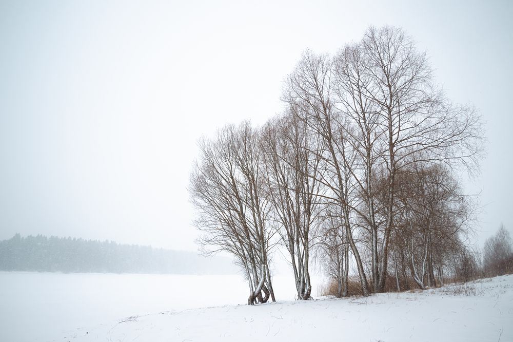 Photograph by Светлана