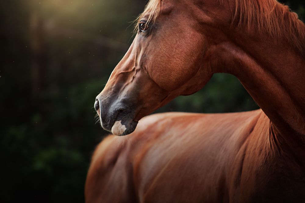 Photograph by Дарья Ералева