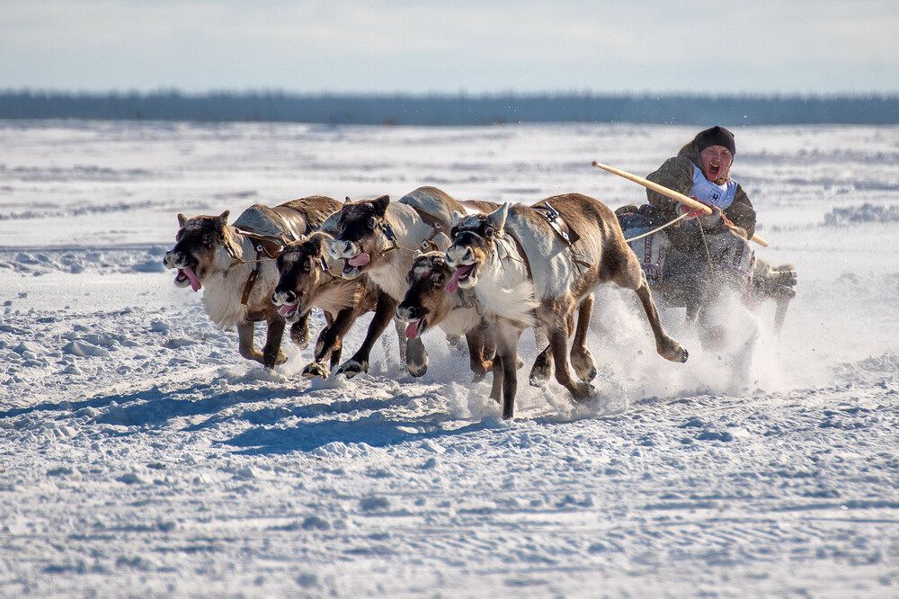 Финишная прямая