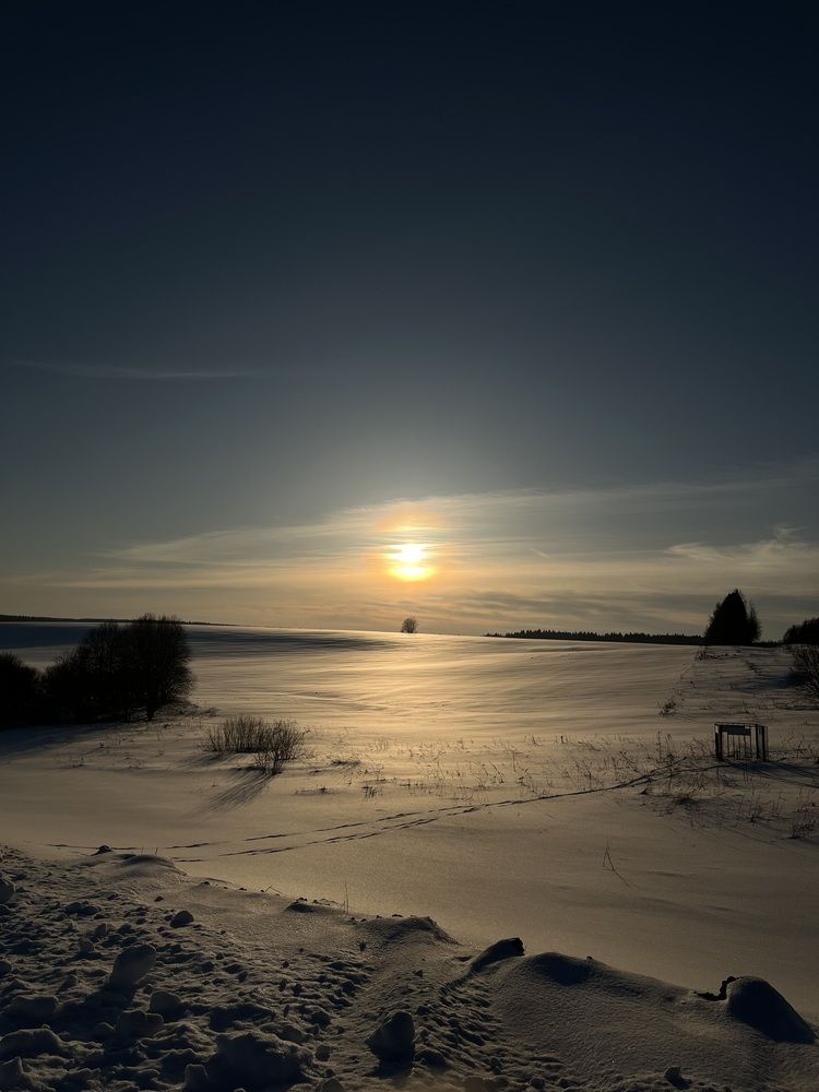 Фотография автора Полина Жаринова