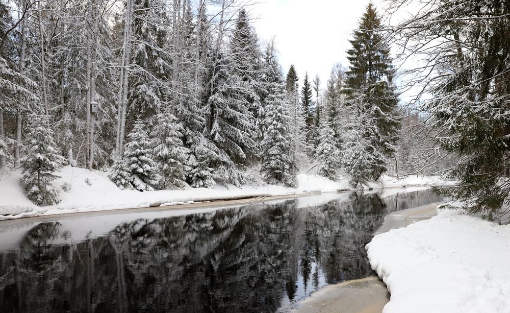 Photograph by елена