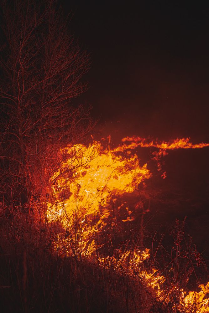 Фотография автора Julia Gorbacheva