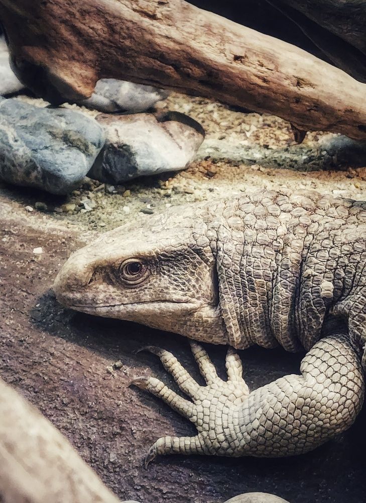 Photograph by Lera Mingova